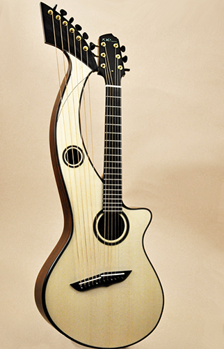Custom Acoustic Guitars