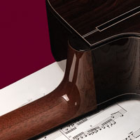 Guitar Panel 6